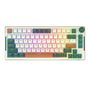 Wireless mechanical keyboard Royal Kludge RKH81 RGB, Sky cyan switch (green), Royal Kludge RKH 81 skycyan green