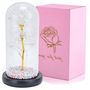 EXTRALINK HOME WIECZNA RÓŻA W SZKLE ŚWIECĄCA LED BIAŁA W-1496, EXTRALINK EX.24176 5907207224176