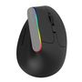 Wireless Vertical Mouse Delux M618C 2.4G 1600DPI RGB (black), Delux M618C Black