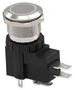 STANDARD ANTI VANDAL SWITCHES AVH19LSFE6241604