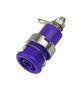 CONN, BANANA, JACK, 32A, BLU MP770559