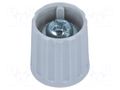 Knob; polyamide; Øshaft: 6mm; Ø15x16.3mm; grey; Shaft: smooth RITEL G15G-G