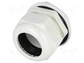 Cable gland; PG42; IP68; polyamide; grey; UL94V-2; 25.4mm KSS WIRING EG-42GY1