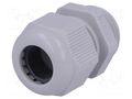Cable gland; M20; 1.5; IP68; polyamide; grey FIBOX GPA-M20