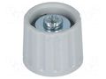 Knob; polyamide; Øshaft: 6mm; Ø21x17.5mm; grey; Shaft: smooth RITEL G21G-G