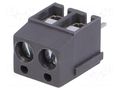 Connector: PCB terminal block; terminal; 16A; 300V; angled 90° NINIGI TB-5.0-P-2P1-GY
