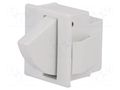 Switch: door; Pos: 2; SPDT; 5A/250VAC; Leads: connectors; Body: white BULGIN AE-E3111DA