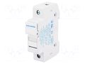 Fuse holder; 10.3x38mm; for DIN rail mounting; 30A; 600VAC; FSO SCHURTER 0091.0001
