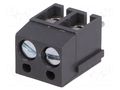 Connector: PCB terminal block; terminal; 24A; 250V; angled 90° DEGSON ELECTRONICS DG300-5.0-2P11