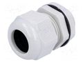 Cable gland; with long thread; M25; 1.5; IP68; polyamide; grey KSS WIRING AG-25GY1