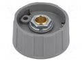 Knob; without pointer; ABS; Øshaft: 6mm; Ø31x15.5mm; grey; A2531 OKW A2531068