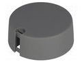 Knob; with pointer; plastic; Øshaft: 4mm; Ø40x16mm; grey; A10 OKW A1040048