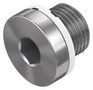 B-1/8-100 BLANKING PLUG 534213