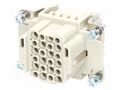 Connector: HDC; contact insert; female; 10A; 250V; Han® HMC; PIN: 24 HARTING 09162243101