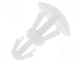 Assembly stud; polyamide; L: 4mm; snap fastener; natural; UL94V-2 FIX&FASTEN FIX-RCA-4