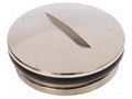 Stopper; M20; 1.5; IP68; brass; Plating: nickel; SKINDICHT® LAPP BL-M20