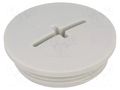 Stopper; M63; 1.5; IP54; polyamide; light grey; SKINDICHT®; 12mm LAPP BLK-M63