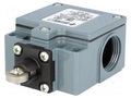 Limit switch; steel roller Ø12mm; NO + NC; 10A; max.500VAC; IP67 PIZZATO ELETTRICA FZ515