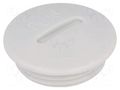 Stopper; PG36; IP54; polystyrene; light grey; SKINDICHT®; 10mm LAPP BLK-PG36