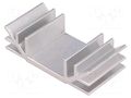 Heatsink: extruded; U; L: 35mm; W: 70mm; H: 19mm; aluminium STONECOLD RAD-A4463/35