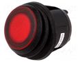 ROCKER; DPST; Pos: 2; ON-OFF; 20A/12VDC; red; IP65; neon lamp; 50mΩ SCI R13244B802R