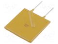 Fuse: PTC polymer; 9A; 24.1x29.7mm; 10mm LITTELFUSE RUEF900