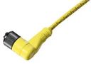 LEAD, M12, 4WAY, 5M, R/A, PVC 120006-0022