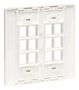 FACEPLATE, 12PORT, WHITE N080-212
