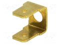 Terminal: flat; 6.3mm; 0.8mm; 2 x male; M4; non-insulated,double BM GROUP BM01014