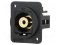 Coupler; RCA socket,both sides; FT; XLR standard; 19x24mm CLIFF CP30231X