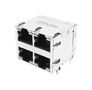 RJ45 CONN, R/A JACK, 8P8C, 2X2 PORT, THT JXC0-0376NL