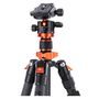 Tripod K&F Concept D255C4+BH-28L + Quick Release Plate kits, K&F Concept KF09.093V2