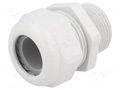 Cable gland; NPT1"; IP68; polyamide; light grey; UL94V-0; HSK-K HUMMEL HUMMEL-1209100071