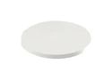ROUND PLUNGER, WHITE, 2.9MM LENGTH 5.46.168.049/0209