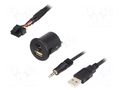 USB/AUX adapter; Fiat; Jack 3,5mm 4pin socket,USB A socket PER.PIC. USB.FIAT.02