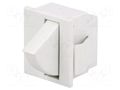 Switch: door; Pos: 2; SPST-NC; 5A/250VAC; Leads: connectors; 3140 BULGIN BG-H3141AAKAA
