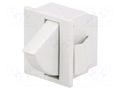 Switch: door; Pos: 2; SPST-NC; 5A/250VAC; Leads: connectors; 3140 BULGIN BG-H3141AAKAA
