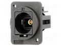 Connector: fiber optic; coupler; Toslink socket,both sides; FT CLIFF CP30217X