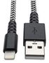 USB CABLE, 2.0 USB A-LIGHTNING PLUG, 6FT M100-006-HD