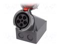 Connector: AC supply 3-phase; socket; female; 63A; 400VAC; IP67 PAWBOL PB.1048