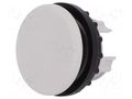 Plug; 22mm; RMQ-Titan EATON ELECTRIC M22-B