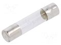 Filament lamp: axial; 8VDC; 250mA; Ø: 6.3mm; L: 31mm BRIGHTMASTER LAMP-205