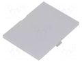 Front panel; without frame,with holder; grey ITALTRONIC IT-P05020201F.BL