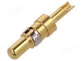 Contact; male; copper alloy; gold-plated; 20AWG÷16AWG; soldering CONEC DHPS-M10