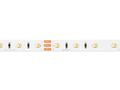 LED line® strip 300 SMD 24V 3000-6500K 9,6W MULTIWHITE 241819 5901583241819