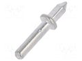 Tip: solder pin; THT; silver plated; brass; Ø: 1.3mm OSTERRATH RTM1.3