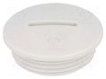 Stopper; PG21; IP54; polyamide; black; V-N-FS; Thread: PG; 8mm HUMMEL HUMMEL-1251210111