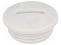 Stopper; PG11; IP54; polyamide; grey; V-N-FS; Thread: PG; 6mm HUMMEL HUMMEL-1251110011