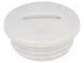Stopper; PG11; IP54; polyamide; grey; V-N-FS; Thread: PG; 6mm HUMMEL HUMMEL-1251110011