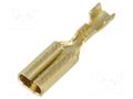 Terminal: flat; 2.8mm; 0.5mm; female; 0.14÷0.3mm2; crimped; brass VOGT 3760A.60